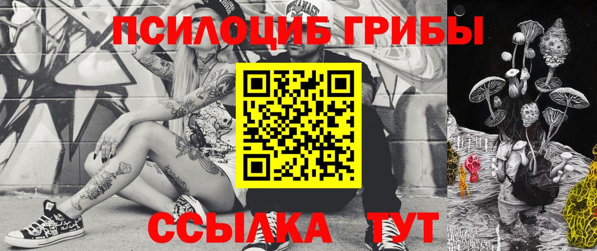 магазин продажи наркотиков  Галлюциногенные грибы Psilocybine cubensis  Вход с VPN  Вичуга  Псилоцибиновые грибы Cubensis 